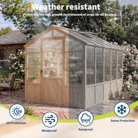 6X10 FT Wooden Greenhouse for Outdoor, Walk-In Greenhouse Kit with Ventilated Window & Lockable Door & Polycarbonate Panels, Large Wood Frame Green House for Garden, Backyard, Patio, Lawn, Plant